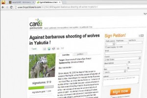 Petition to save Yakutian wolves